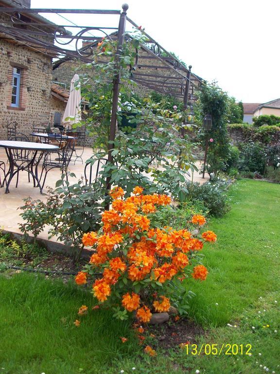 Vic-en-Bigorre La Maison D'Anais المظهر الخارجي الصورة